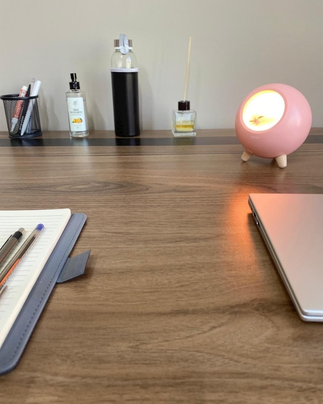 Little Pet House Masa Lambası, Gece Lambası, Abajur