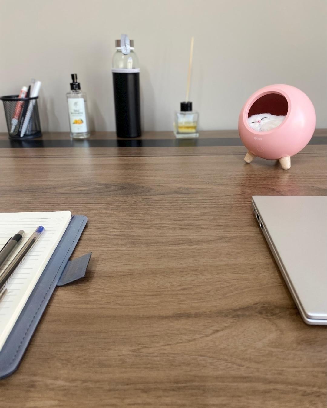 Little Pet House Masa Lambası, Gece Lambası, Abajur