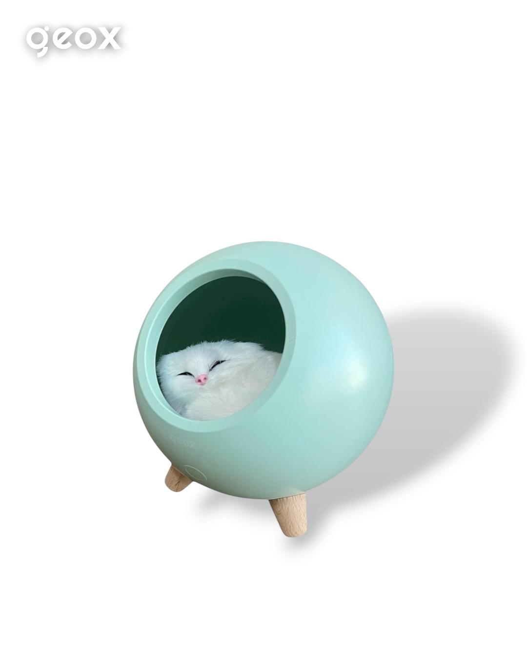 Little Pet House Masa Lambası, Gece Lambası, Abajur