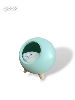 Little Pet House Masa Lambası, Gece Lambası, Abajur